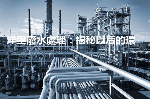 洋里廢水處理：揭秘以后的環(huán)保技術(shù)與挑戰(zhàn)？